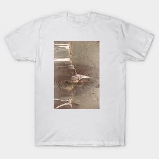 Leaking concrete 22 T-Shirt